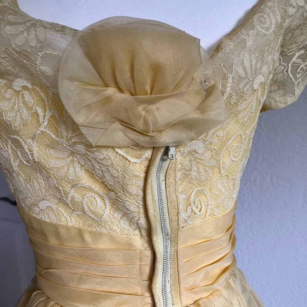 Vintage Prom Dress - Picture 4 of 4
